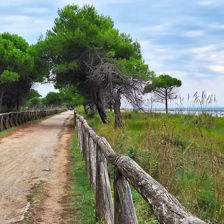 Luminous Flat With Balcony-beahost Appartement